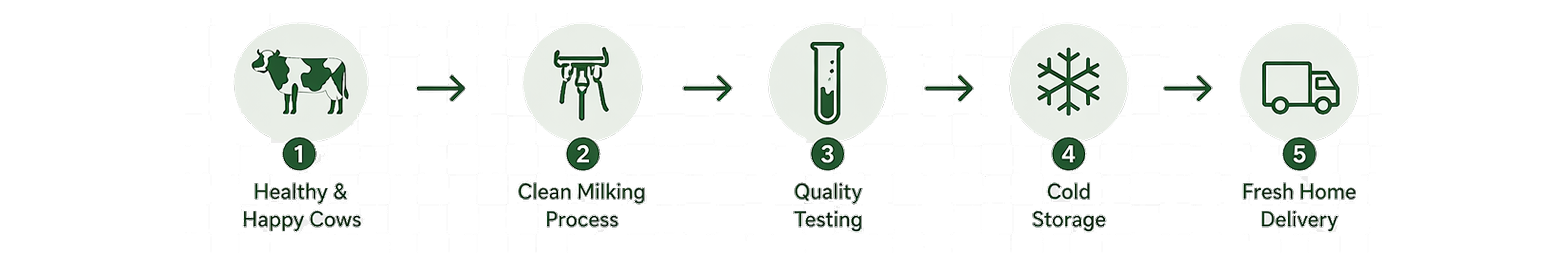 Somaj Dairy Farm – Pune